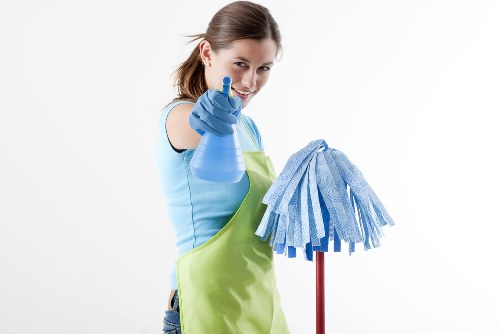 Eco-friendly cleaning solutions for home appliances