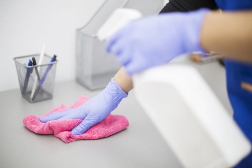 Professional oven cleaning service in Wimbledon
