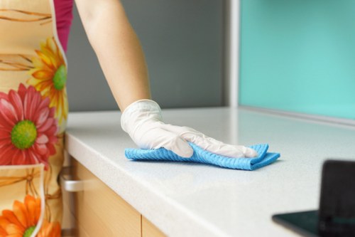 Clean kitchen oven after professional cleaning
