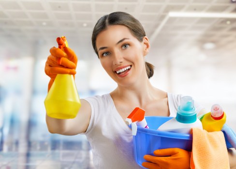 Expert cleaning technicians at work