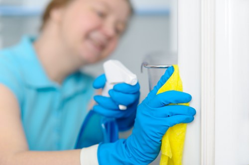 Team of experts providing oven cleaning services