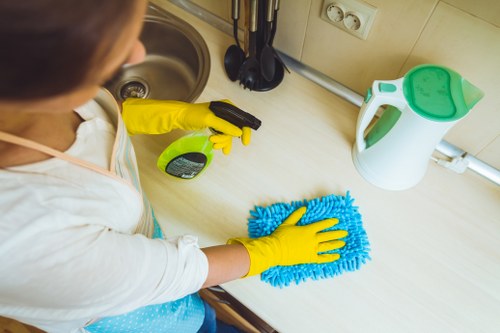 Eco-friendly cleaning products used for patio and oven cleaning