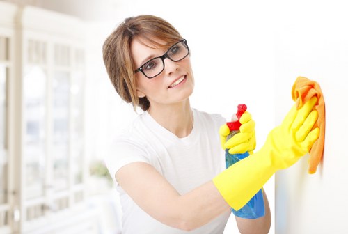 Professional oven cleaning service in action