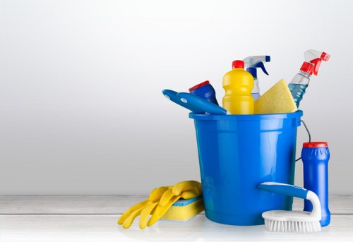 Eco-friendly oven cleaning