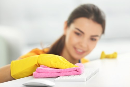 Experienced team cleaning an oven