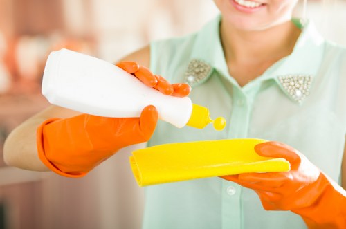 Professional upholstery cleaner at work in a Wimbledon home.