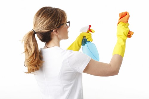 Detailed oven cleaning process