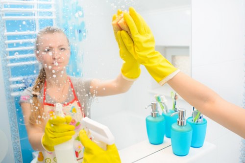 Eco-friendly oven cleaning products