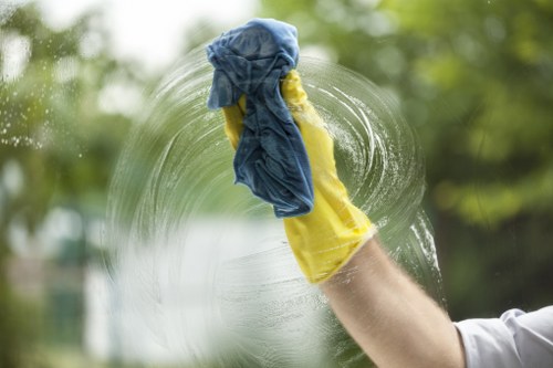 DIY oven cleaning with baking soda and vinegar