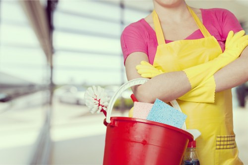 Eco-friendly cleaning supplies for home maintenance