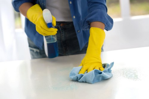 Professional oven cleaning service