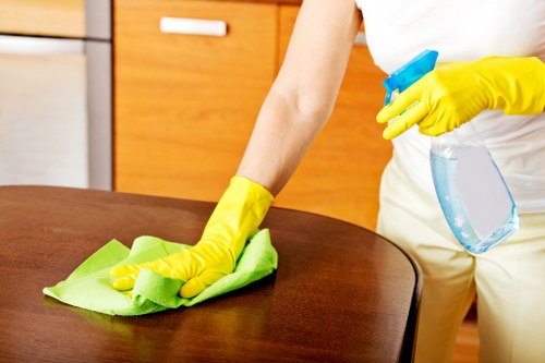 Professional oven cleaning service in action
